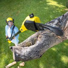 Pest Control for Lawns in Burnet, TX