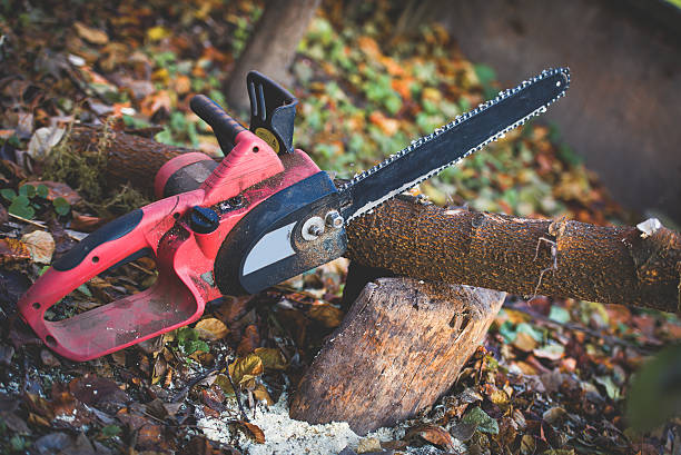 Best Leaf Removal  in Burnet, TX